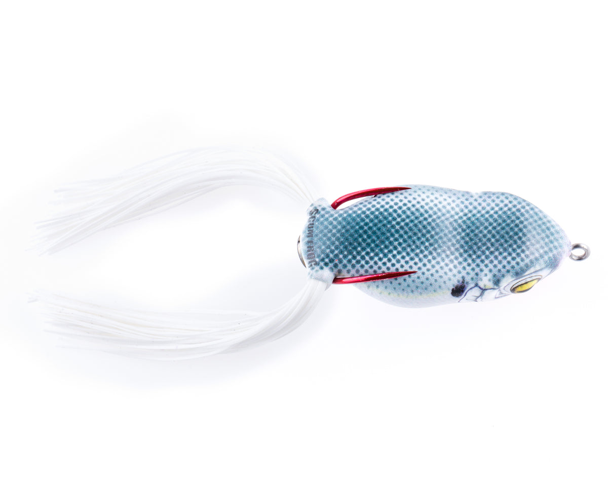 スカムフロッグ・ローンチフロッグ XS / Scum frog Launch frog XS