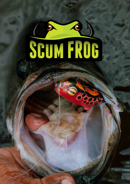 Scum Frog