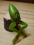 スナッグプルーフ・オリジナルフロッグ（セカンドモデル） / グリーン #6202 Original Frog  / Green