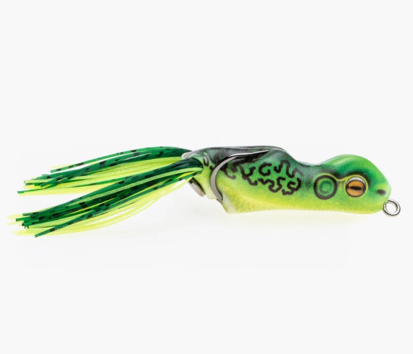 Scum Frog – タグ 